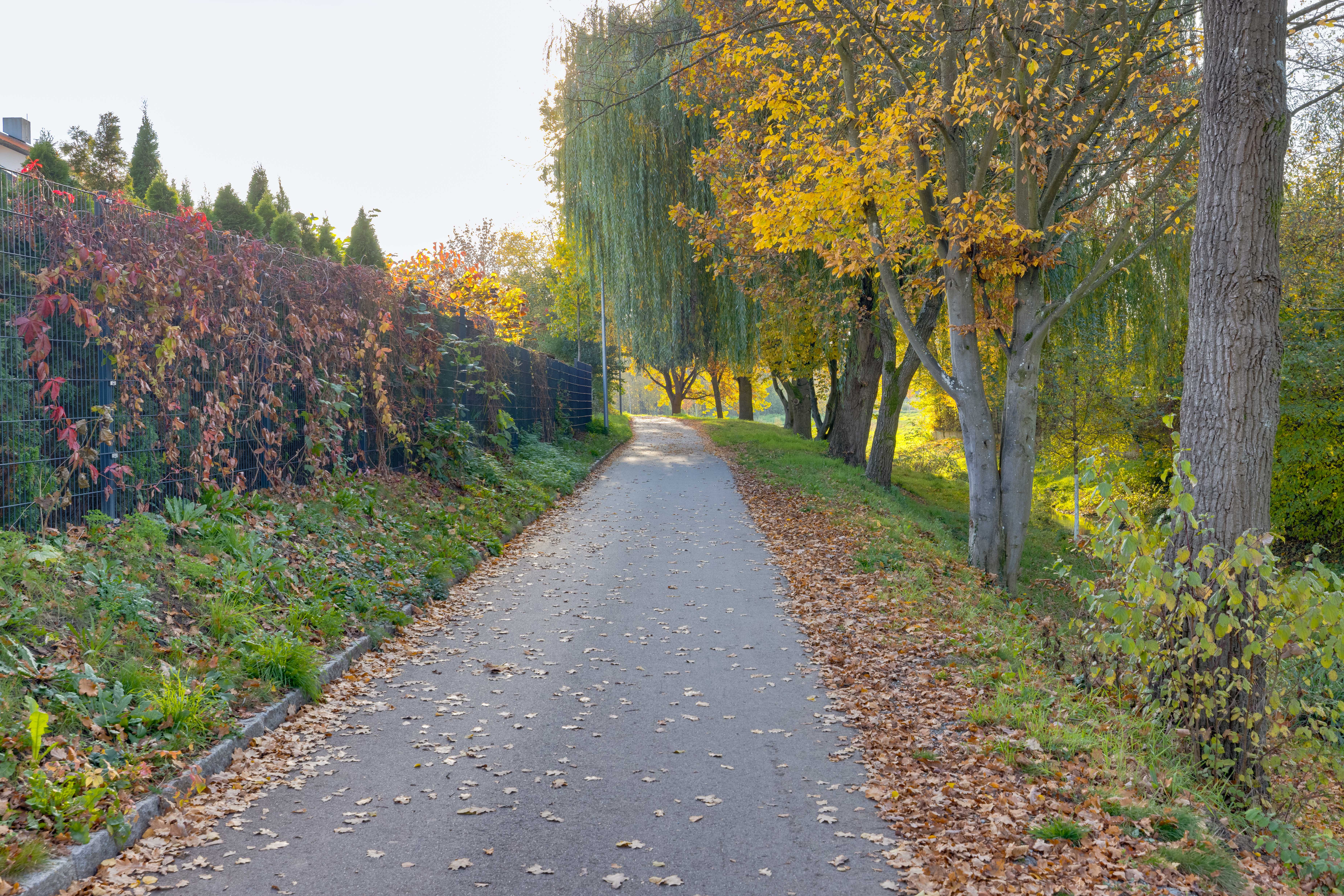 Auf Straubings Grünen Wegen Straubing Bild 6